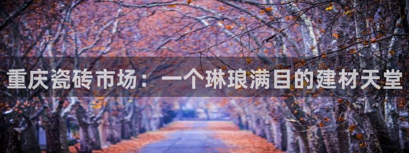 杏鑫注册登录代理公司