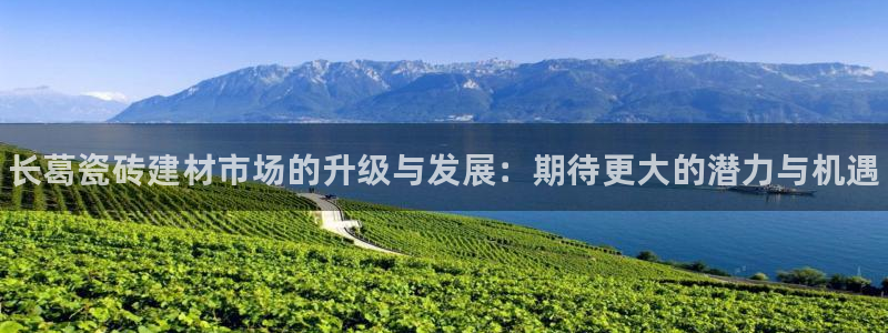 杏鑫平台下载安装