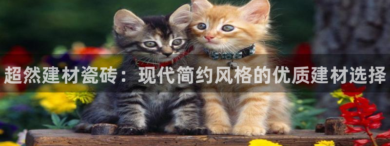 杏鑫平台代理怎么做的