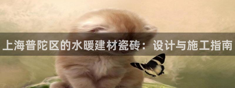 杏鑫娱乐多少年了