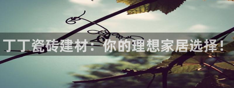 杏鑫平台招商电话号码