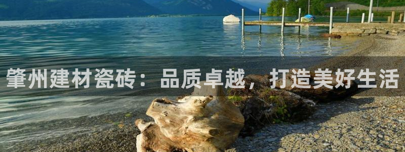 杏鑫代理注册资金多少