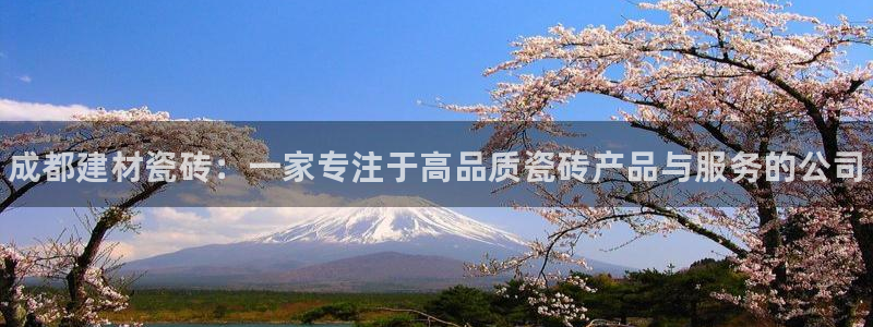 杏鑫平台登录地址