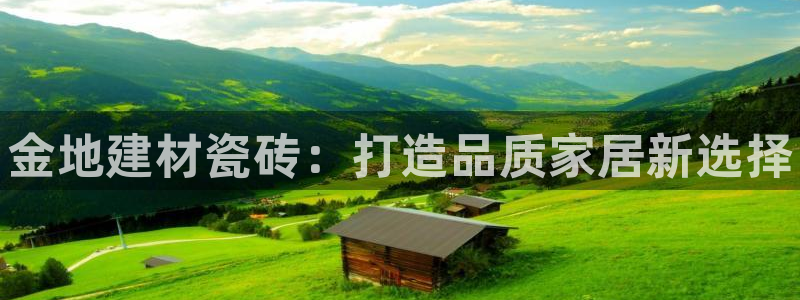 杏鑫注册登录代理公司