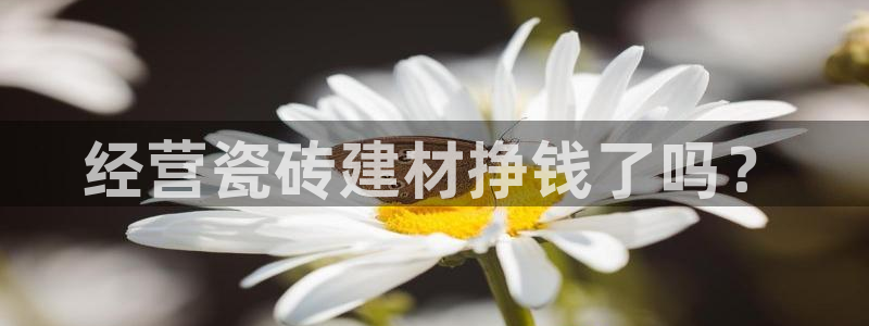 杏鑫娱乐平台登录